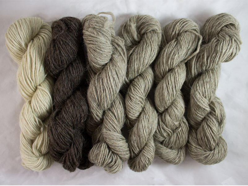 Diné Motif Sweater Kit