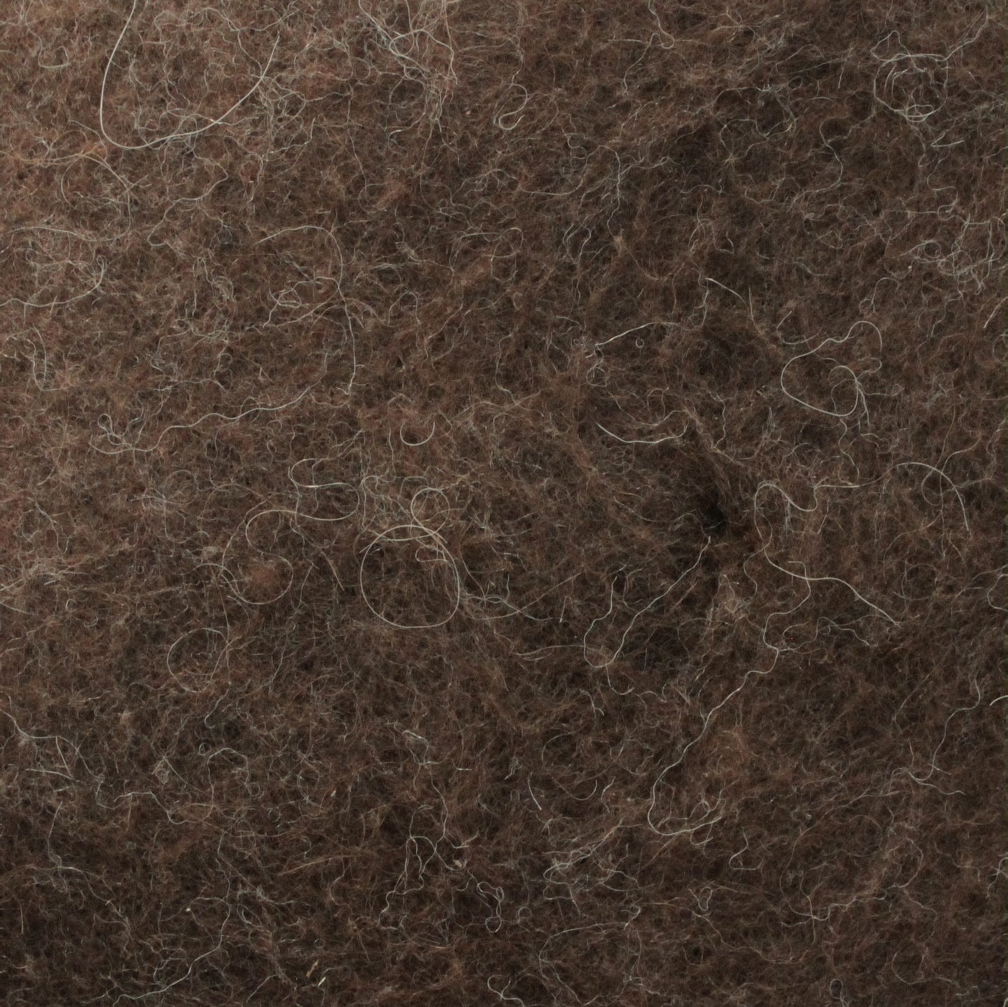 Terra Felt